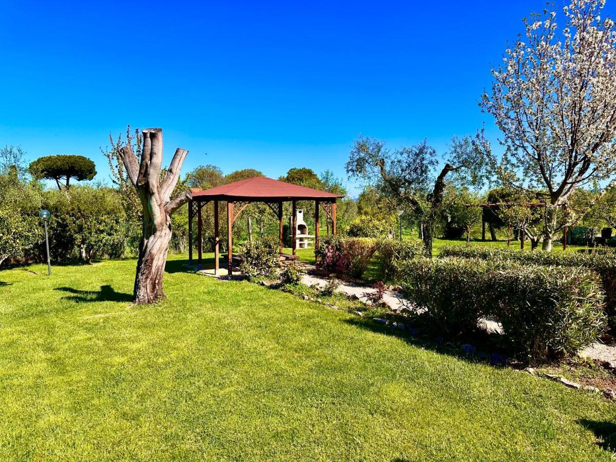 Agriturismo Re Di Fiori Donoratico Dış mekan fotoğraf