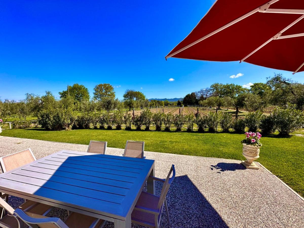 Agriturismo Re Di Fiori Donoratico Dış mekan fotoğraf