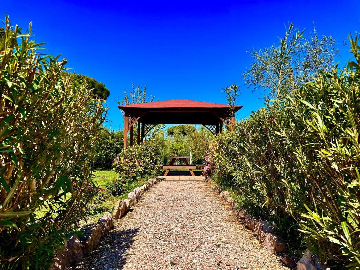 Agriturismo Re Di Fiori Donoratico Dış mekan fotoğraf