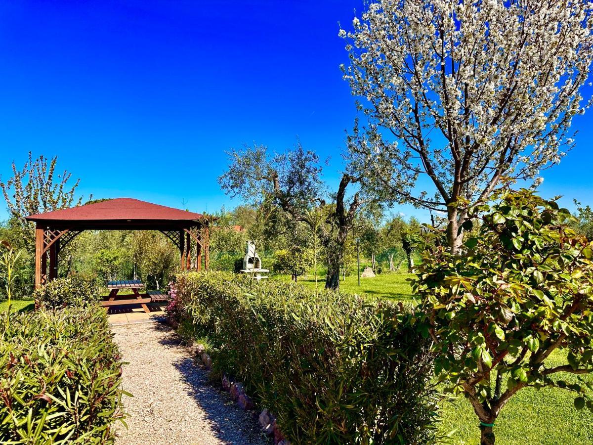 Agriturismo Re Di Fiori Donoratico Dış mekan fotoğraf