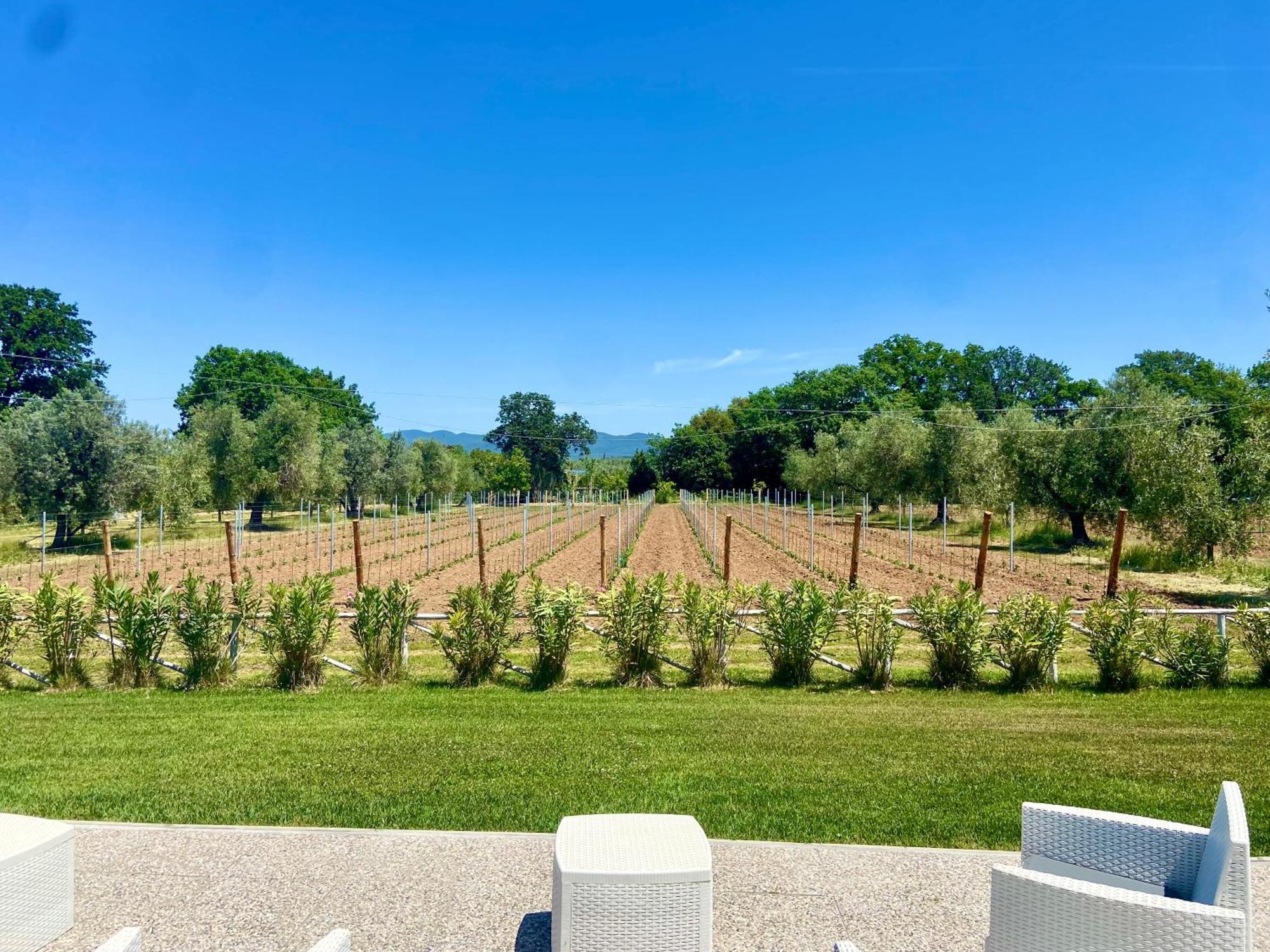 Agriturismo Re Di Fiori Donoratico Dış mekan fotoğraf