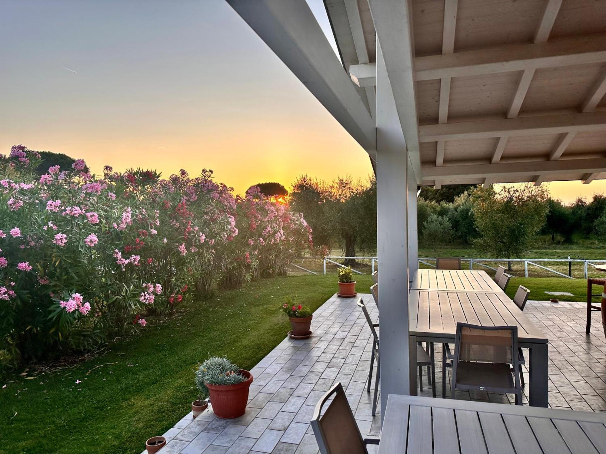 Agriturismo Re Di Fiori Donoratico Dış mekan fotoğraf