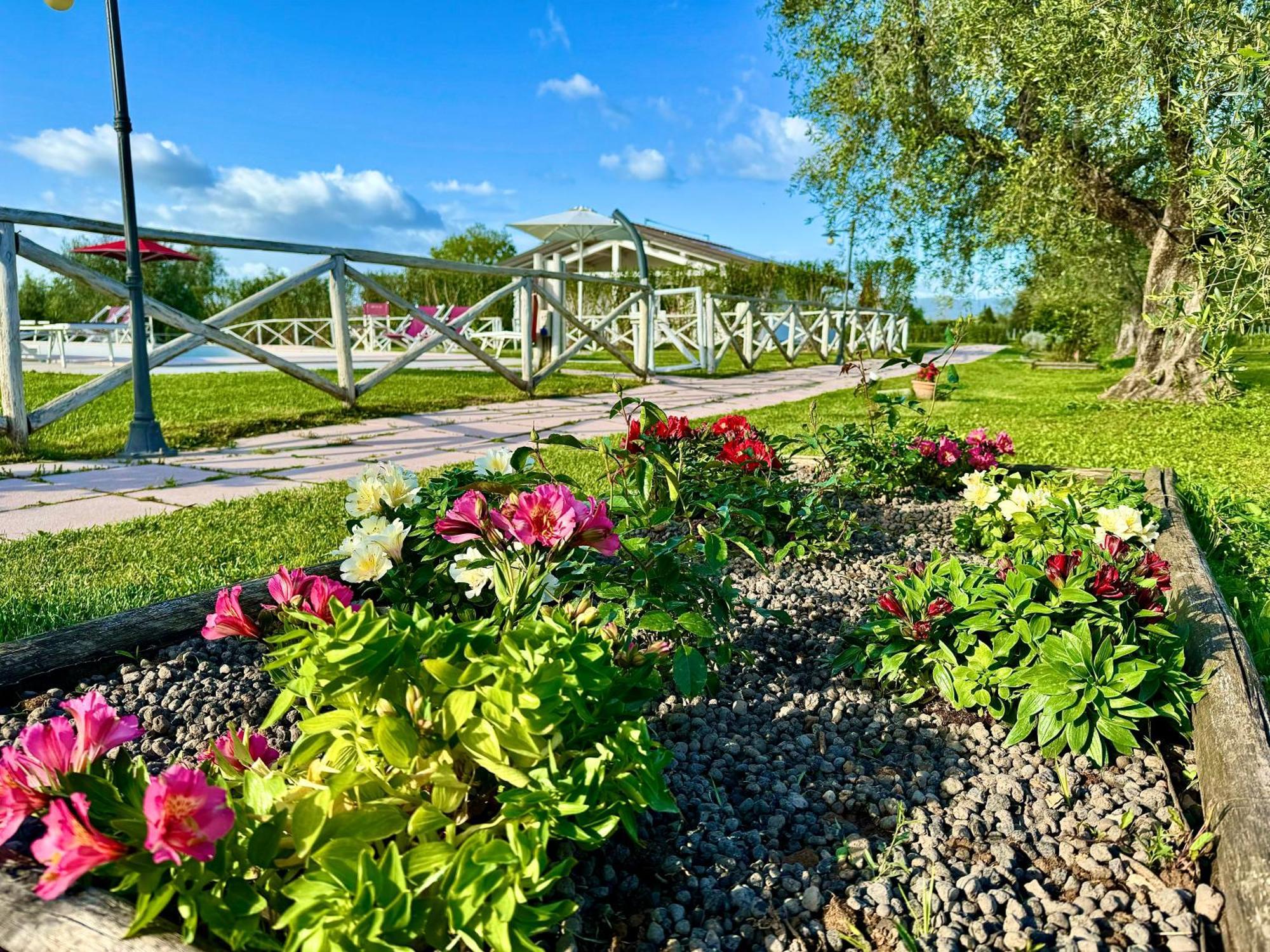 Agriturismo Re Di Fiori Donoratico Dış mekan fotoğraf