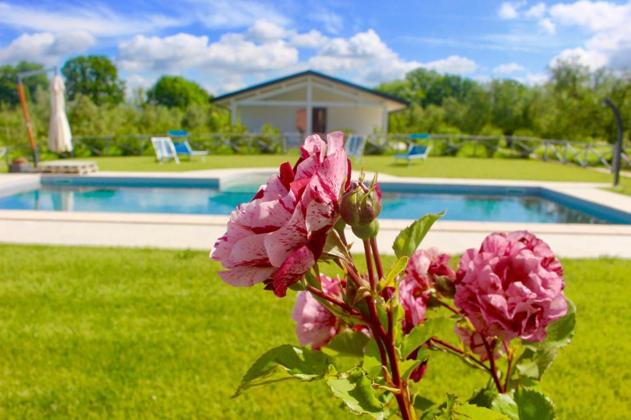 Agriturismo Re Di Fiori Donoratico Dış mekan fotoğraf