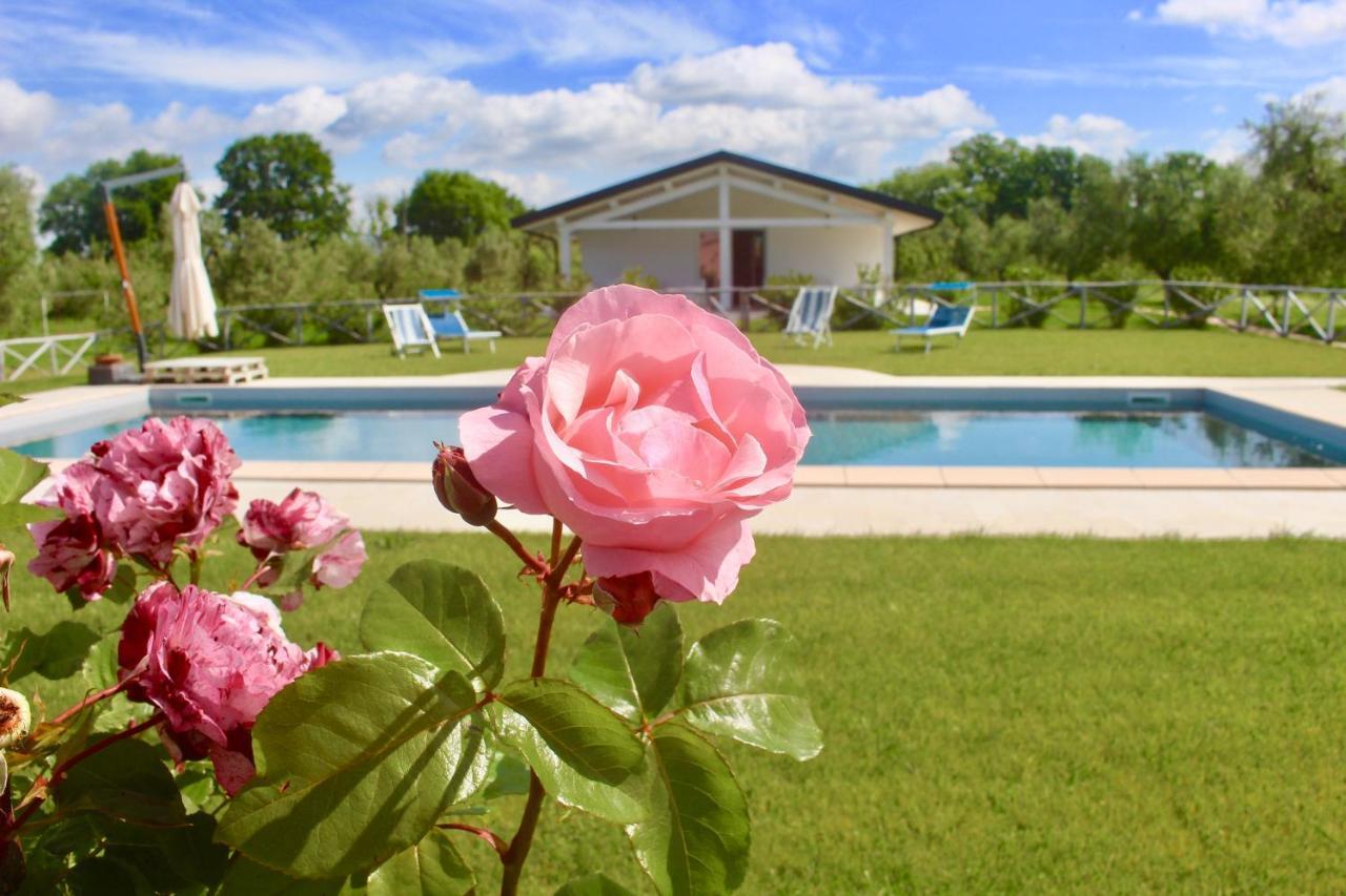 Agriturismo Re Di Fiori Donoratico Dış mekan fotoğraf